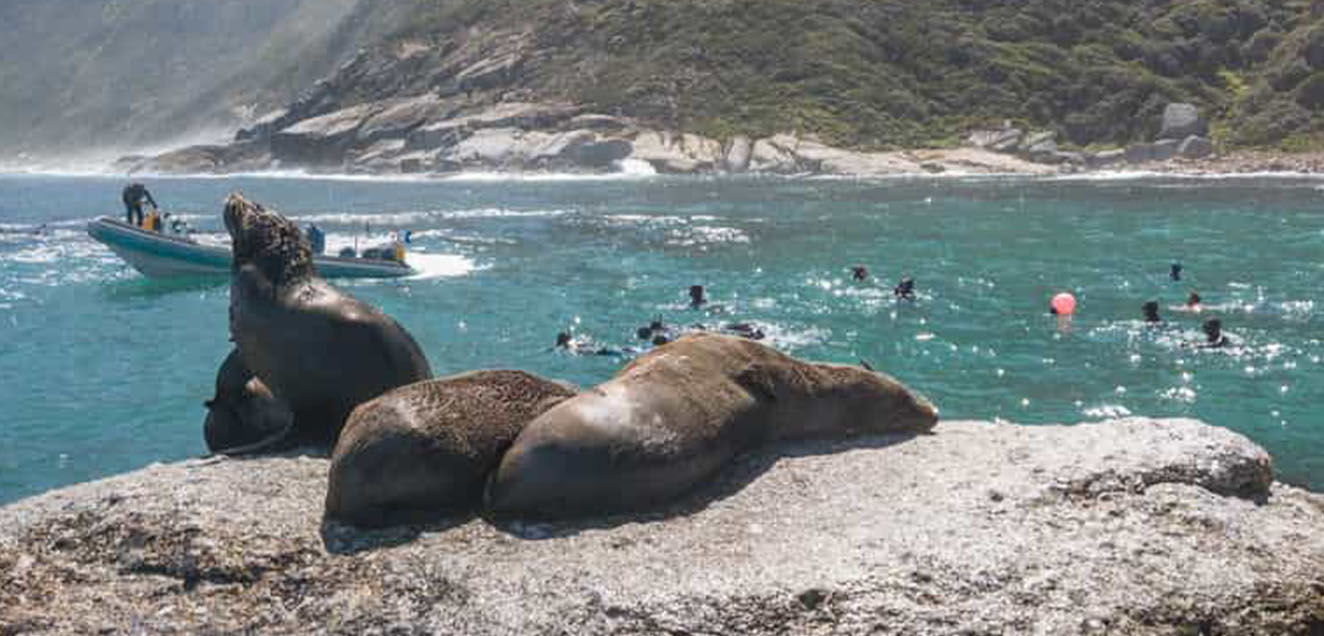 H-view Travel and Tours