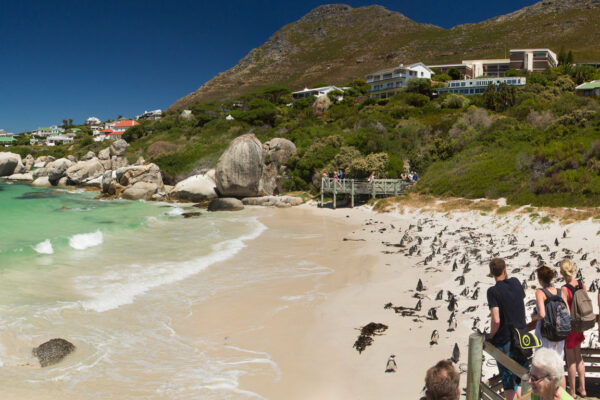 boulders-beach
