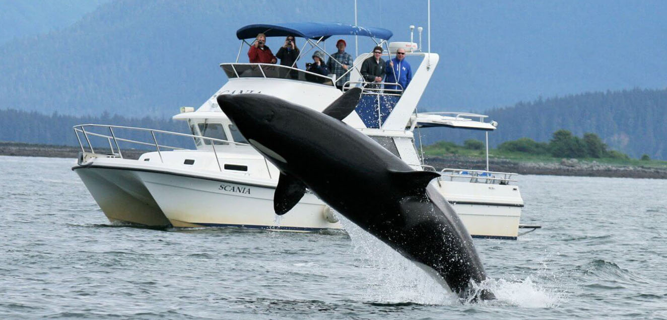 H-view Travel and Tours