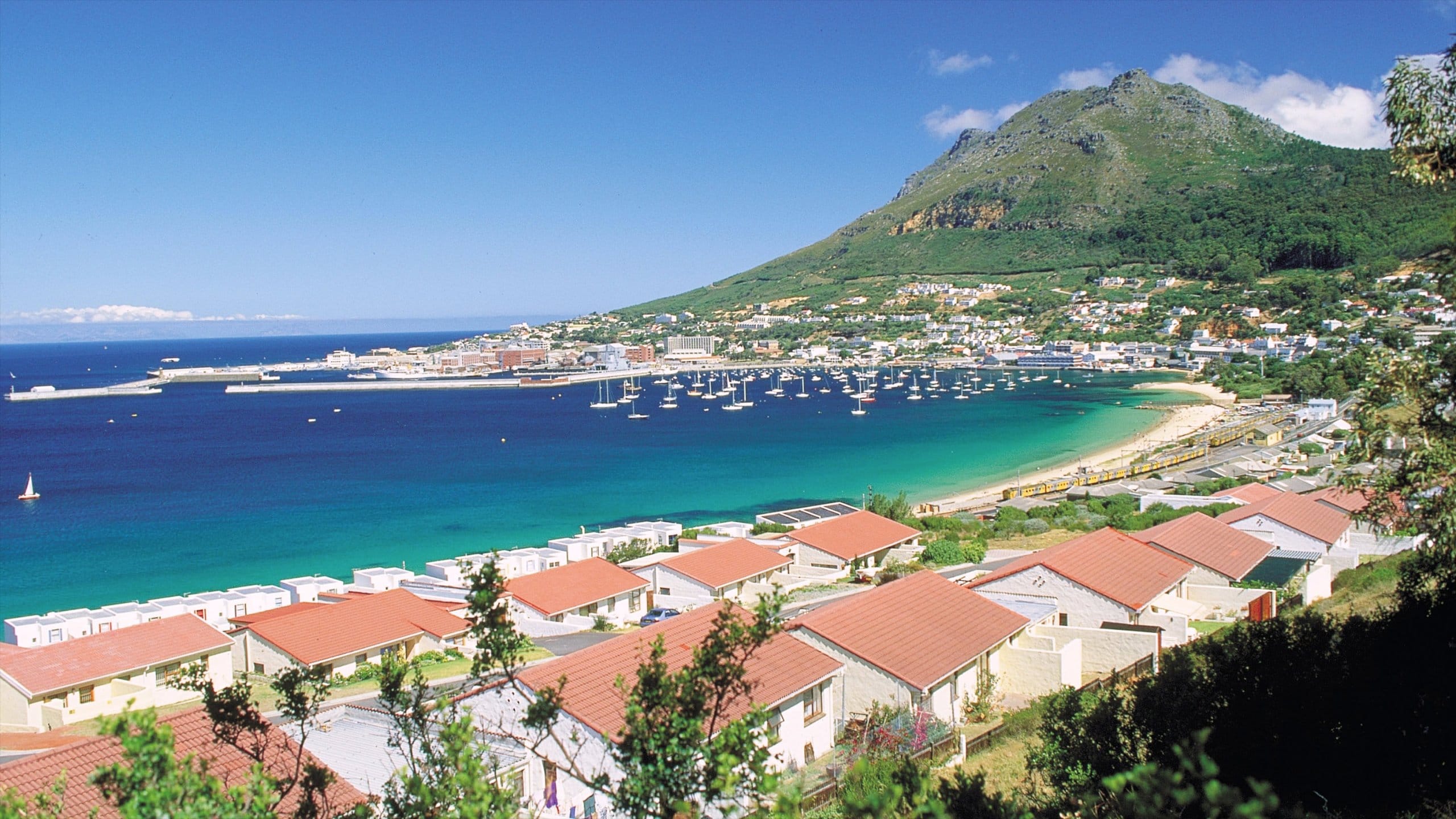 56934-Simons-Town